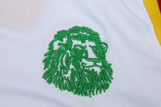 Cameroon Embroidery Logo, Cameroon 2002 Away Short-Sleeve Sleeveless Kit