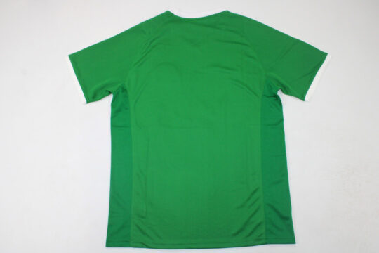 Shirt Back Blank, Wolfsburg 2008-2009 Home Short-Sleeve Jersey